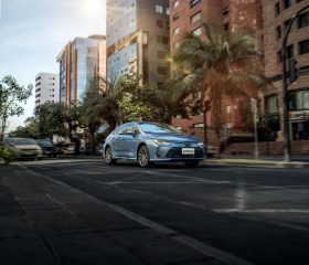 Corolla Sedán