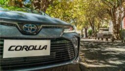 
										Corolla Sedán full									