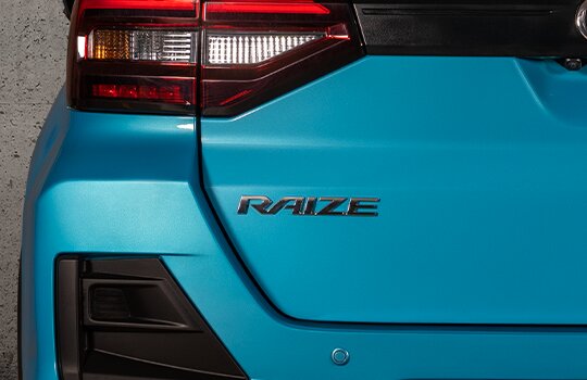 raize seguridad 3