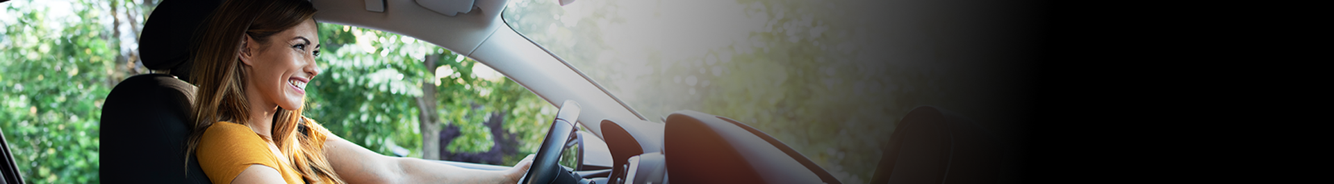 rastreo banner 1
