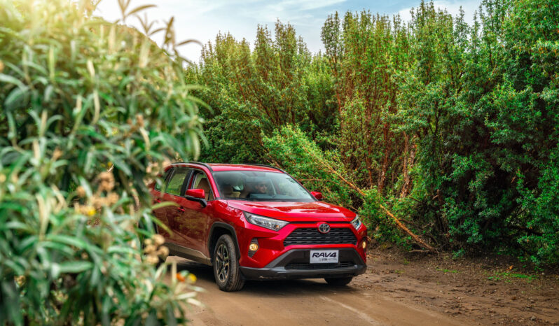 
								RAV4 full									