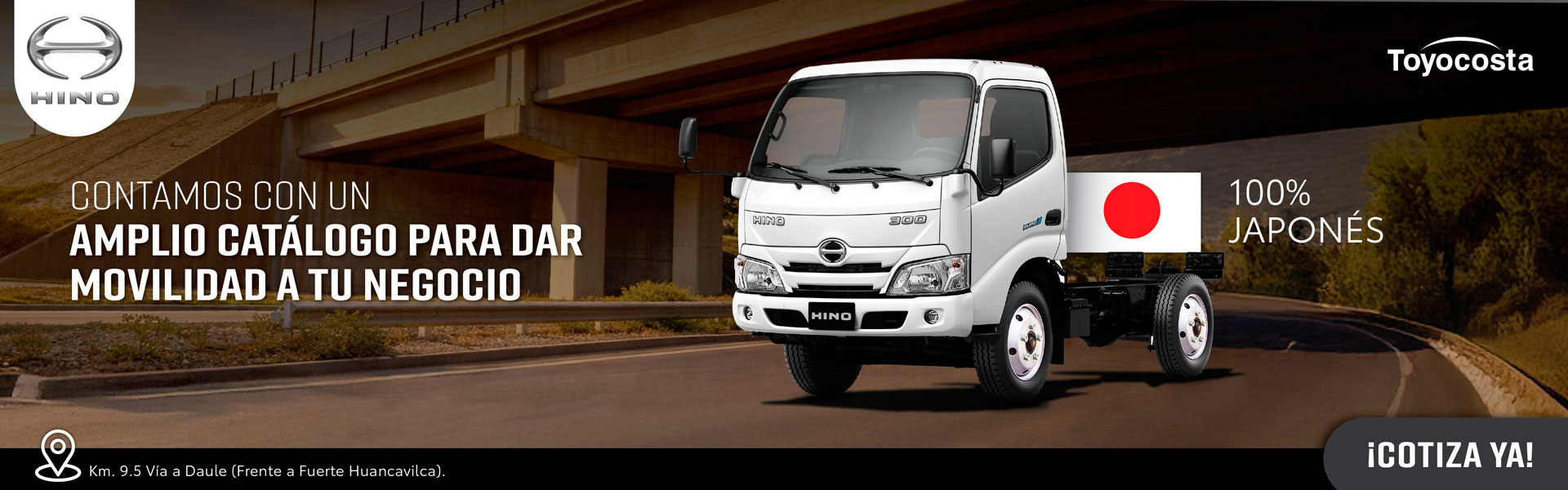 banner amplio catalogo