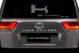 
										Land Cruiser 300 HEV full									